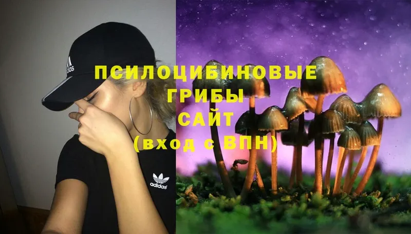 Псилоцибиновые грибы Cubensis  Задонск 